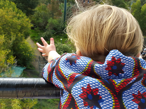 25010384166_91fd098385